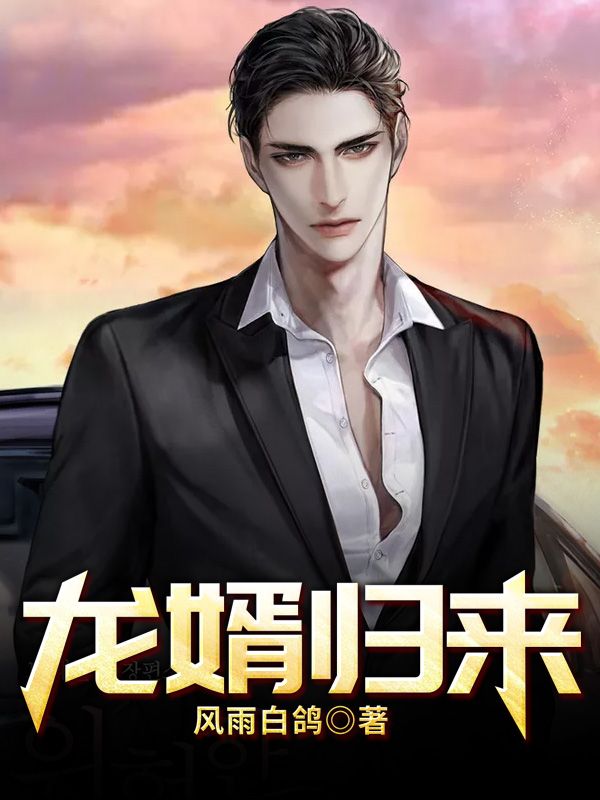 龍婿歸來