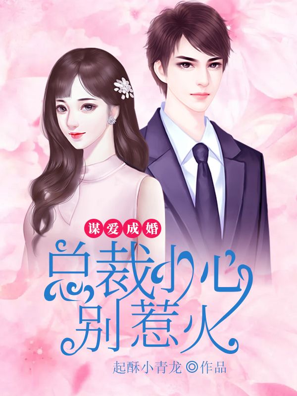 謀愛成婚：總裁小心別惹火