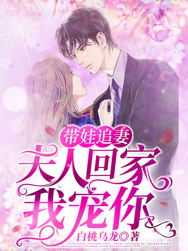 帶娃追妻：夫人回家我寵你