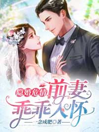 隱婚危情：前妻乖乖入懷