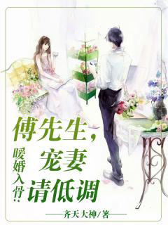 暖婚入骨：傅先生，寵妻請低調