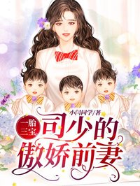 一胎三寶：司少的傲嬌前妻