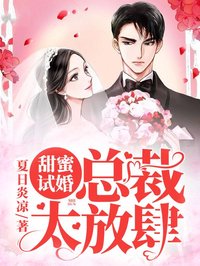 甜蜜試婚：總裁，太放肆