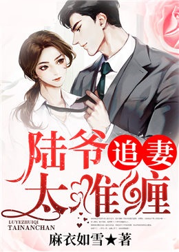 陸爺追妻太難纏