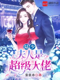 陸少，夫人是超級大佬