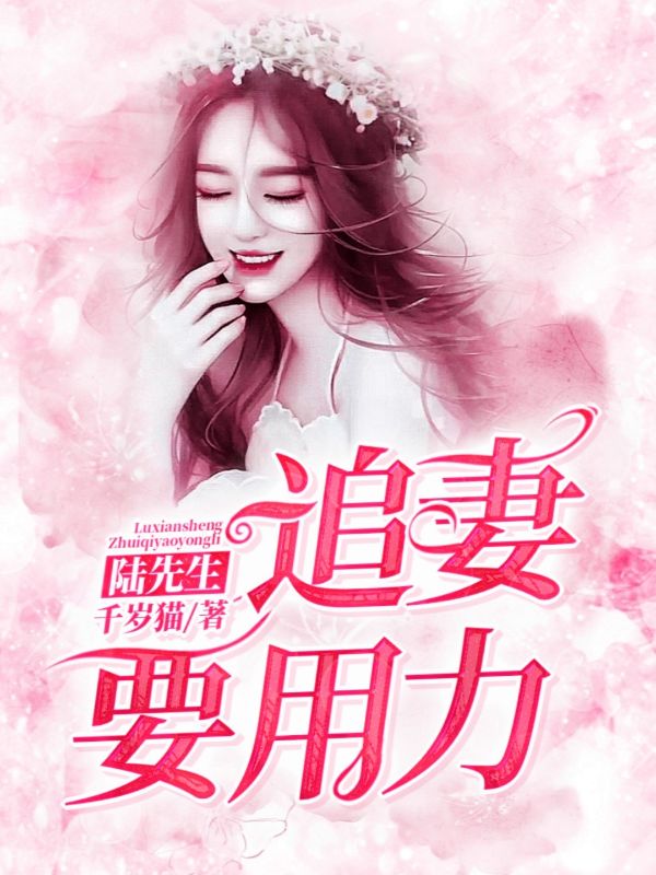 陸先生，追妻要用力