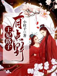 王妃路子有點野