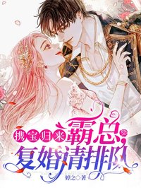 攜寶歸來：霸總，複婚請排隊
