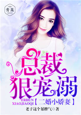 總裁的二婚小嬌妻