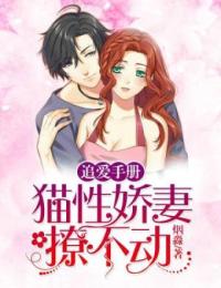 追愛手冊：貓性嬌妻撩不動