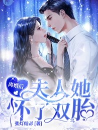 離婚後，夫人她懷了雙胎