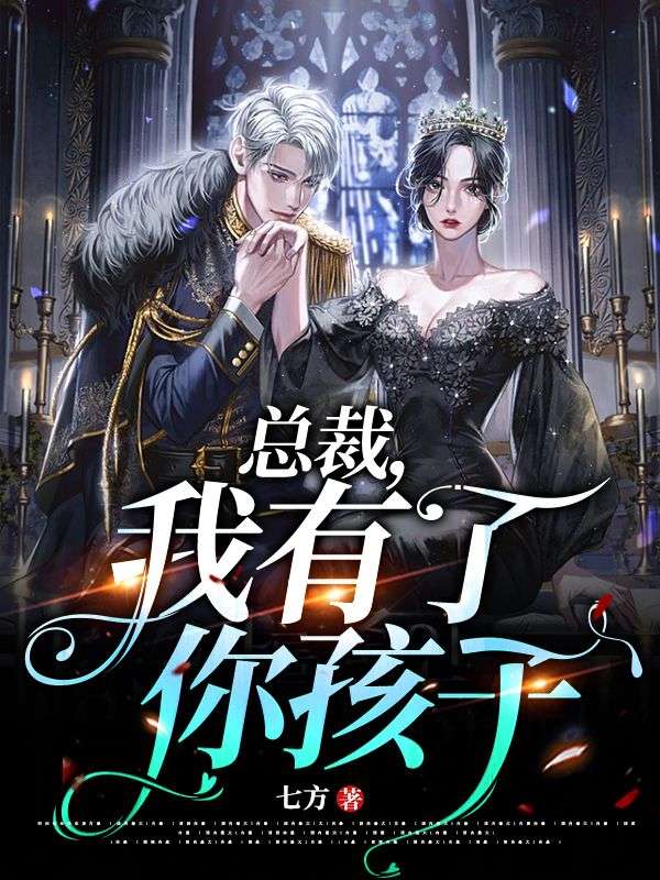 總裁，我有了你孩子