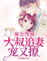萌寶駕到：大叔追妻寵又撩