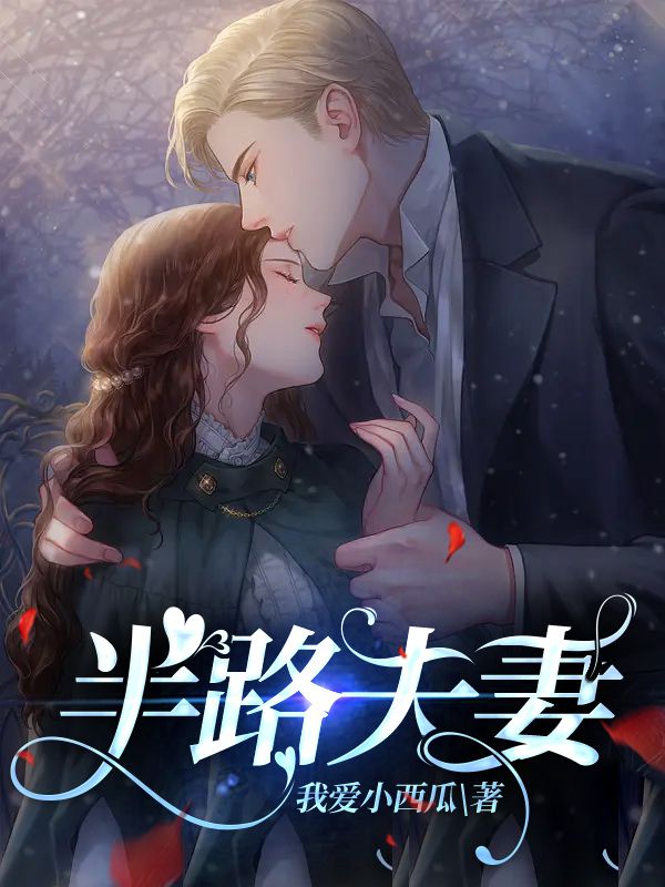 半路夫妻