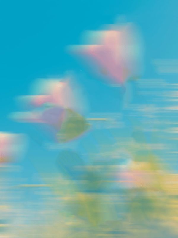 落花時節又逢君