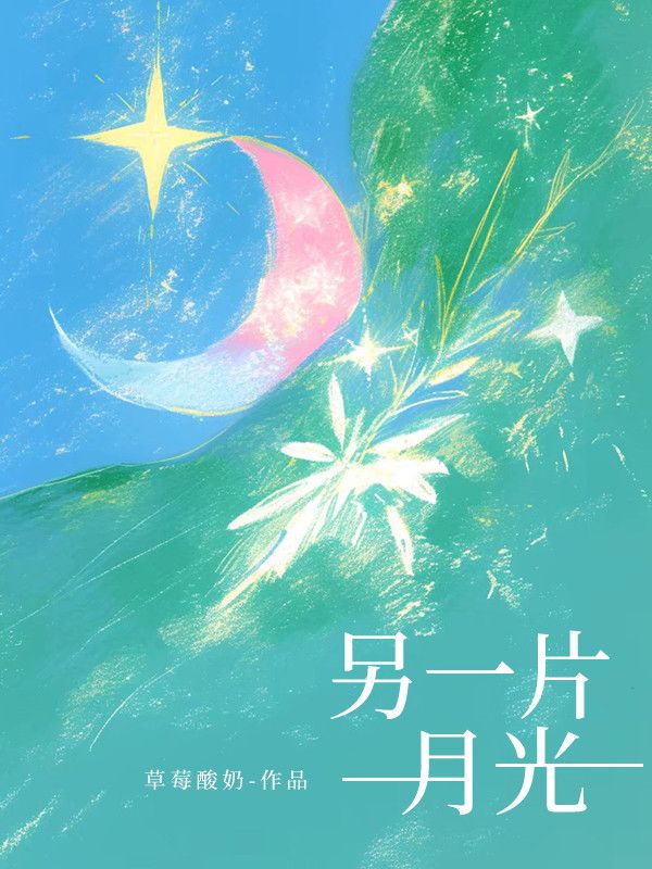 另一片月光