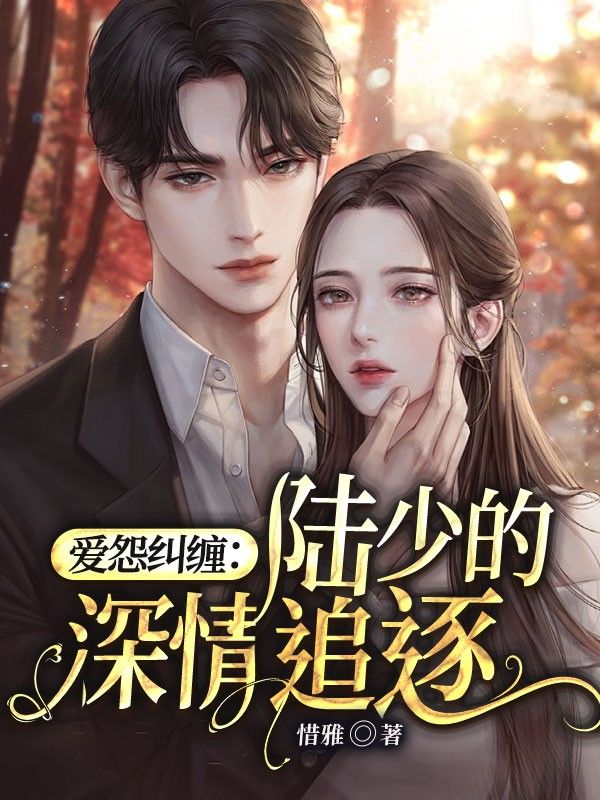 愛怨糾纏：陸少的深情追逐