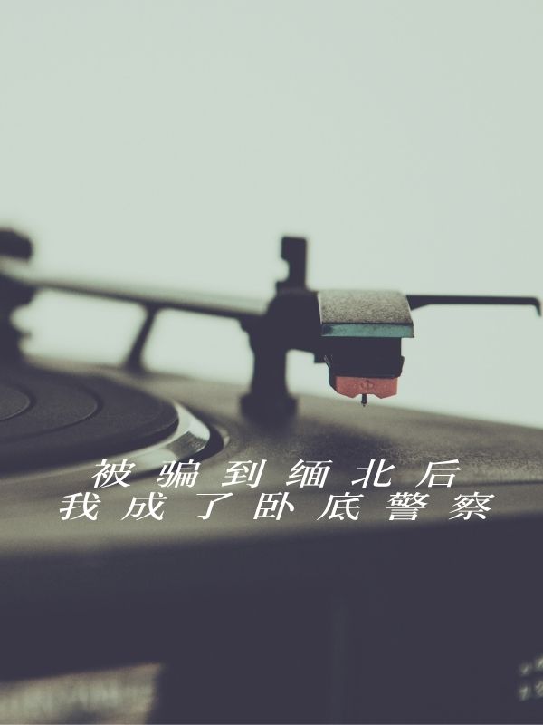 被騙到緬北後我成了臥底警察