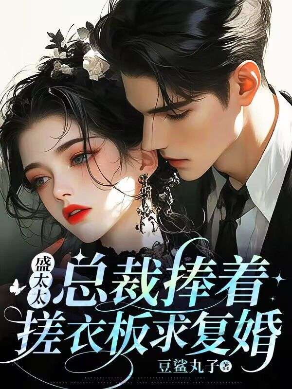 盛太太，總裁捧著搓衣板求複婚