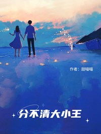 分不清大小王
