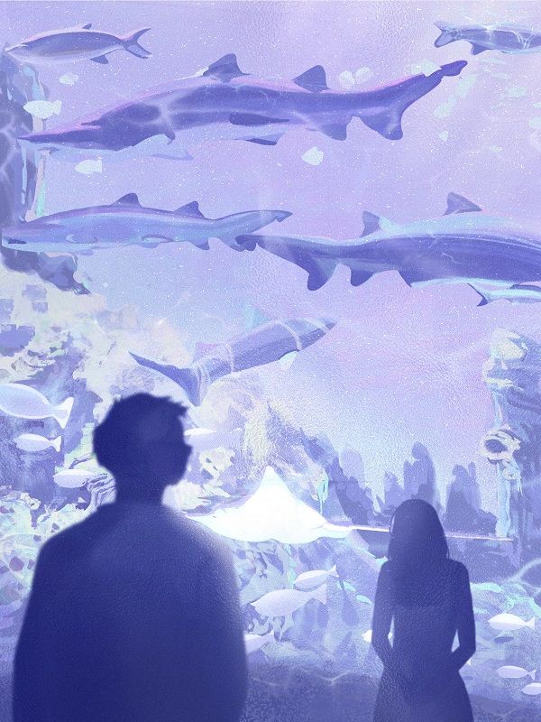 如魚得水