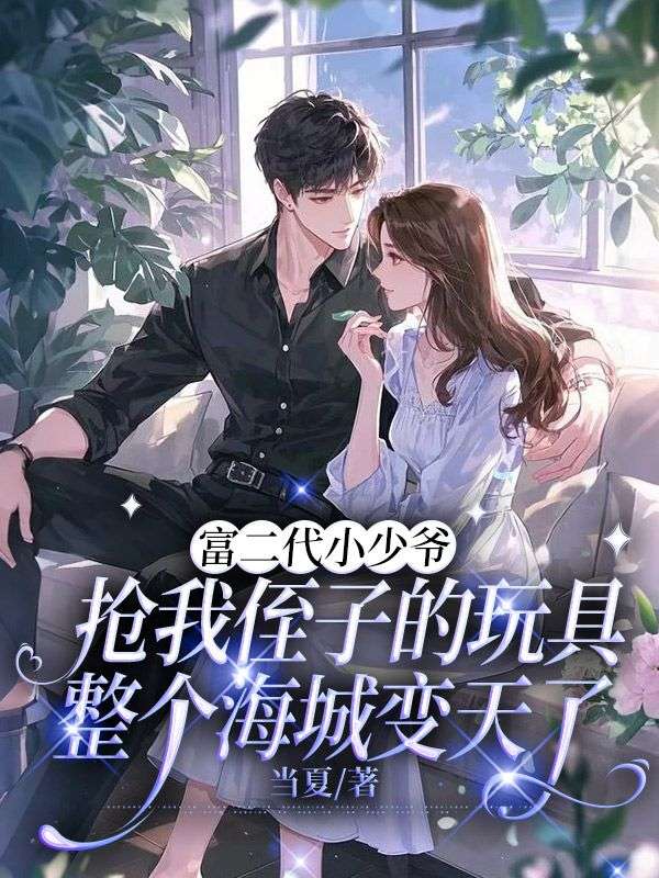 富二代小少爺搶我侄子的玩具，整個海城變天了