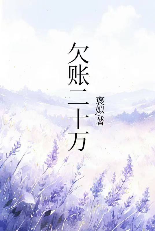欠賬二十萬