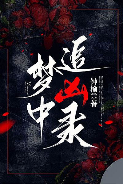 夢中追凶錄