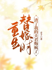 重生替嫁時，渣了我的夫君悔瘋了