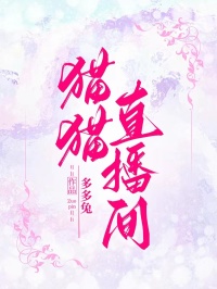 貓貓直播間