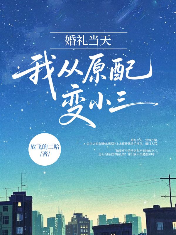 婚禮當天，我從原配變小三