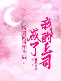 嬌妻同事懷孕後成了我的上司
