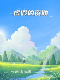 虛假的資助