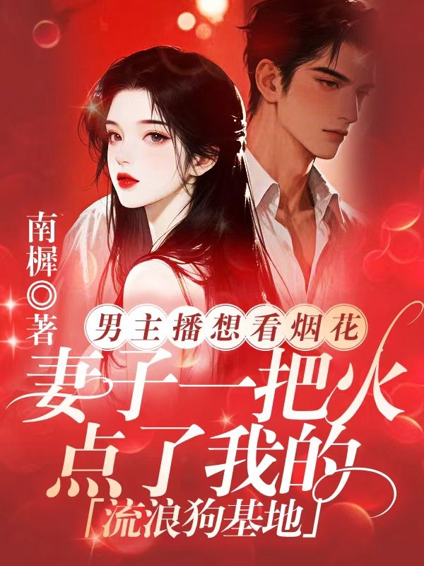 男主播想看煙花，妻子一把火點了我的流浪狗基地