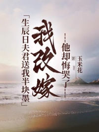 生辰日夫君送我半塊墨，我改嫁他卻悔哭了