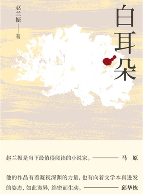 白耳朵