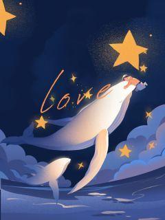 星芒灼盡時
