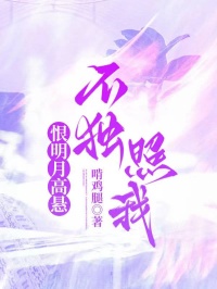 恨明月高懸不獨照我
