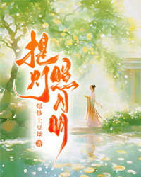 提燈照月明