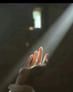 繁華落盡，歸來亦是明珠