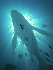 變異之鯨落生萬物