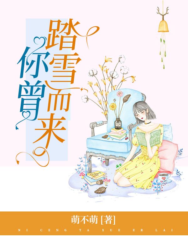 你曾踏雪而來