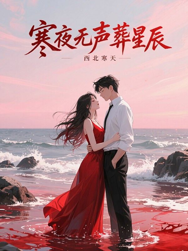 寒夜無聲葬星辰