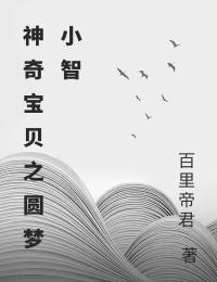神奇寶貝之圓夢小智
