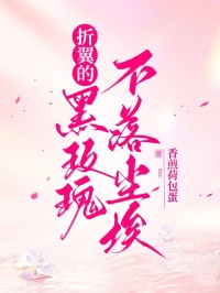 折翼的黑玫瑰不落塵埃