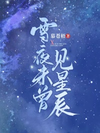 雪夜未曾見星辰