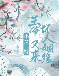 小女二嫁，王爺又來壞人姻緣