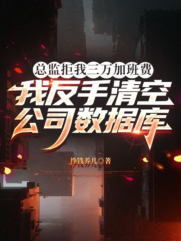 總監拒我三萬加班費，我反手清空公司數據庫