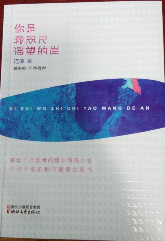 你是我咫尺遙望的岸