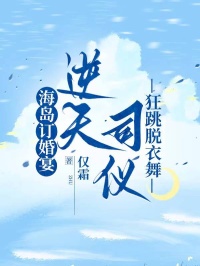 海島訂婚宴，逆天司儀狂跳脫衣舞